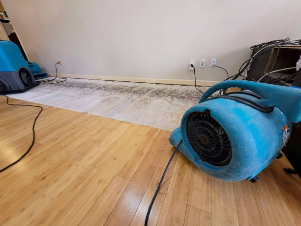 Professional Basement Flood Cleanup technician working in Cecil, OH